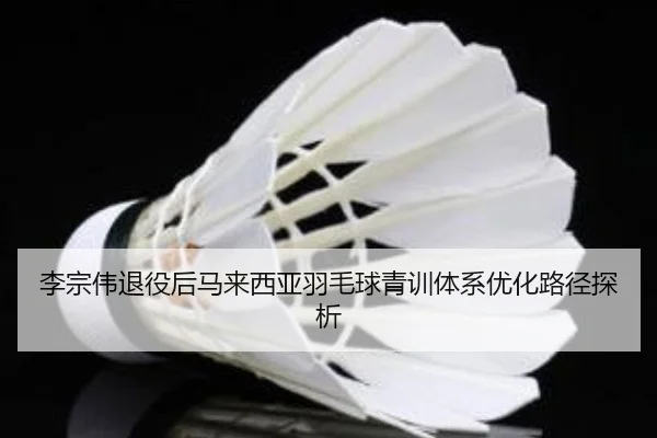 李宗伟退役后马来西亚羽毛球青训体系优化路径探析