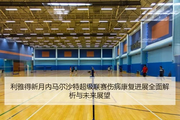 li-ya-de-xin-yue-nei-ma-er-sha-te-chao-ji-lian-sai-shang-bing-kang-fu-jin-zhan-quan-mian-jie-xi-yu-wei-lai-zhan-wang-2-579.jpg