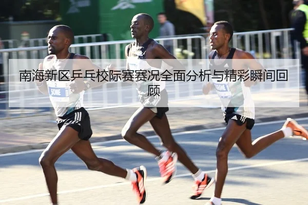 南海新区乒乓校际赛赛况全面分析与精彩瞬间回顾